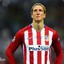 Fernando Jose Torres Sanz