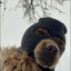 Cюржик
