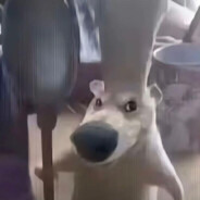 放心的交给我吧