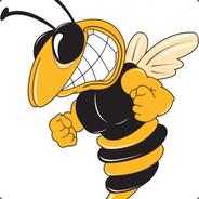 ПЧИЛКА МАЯ 720hp