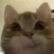 你可以欺骗我的感情但不能骗走我的大电