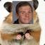 Camster