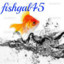 FishGal45