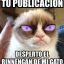 POS MIAU ¡¡¡¡