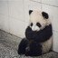 Eveen