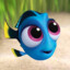 Dory