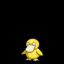 Pato_Platino24