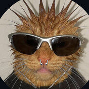 DOTO Steam avatar