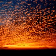 人老屁股松放屁响咚咚