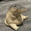 cementura