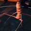 Marcus the Worm
