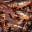 A lot of Lobsters