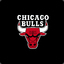 Fan Chicago Bulls