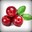 Cranberry Jones avatar