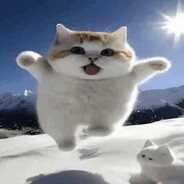 zwer - steam id 76561199332054252