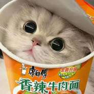 康帅博香辣牛肉面