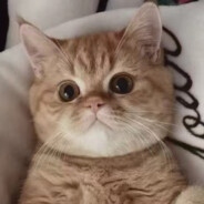 警惕新型直女陷阱