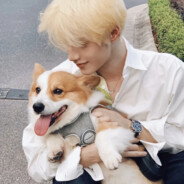 她说彩礼钱不要