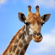 Залізничник avatar