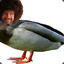 Duck Ross