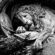 Ptasibrzuch jestem ¯\_(ツ)_/¯