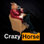 CrazyHorse [PT]