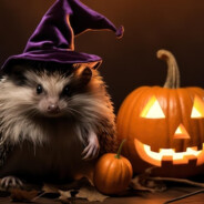 Spooky Hedgehog