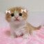 sanriokitty05