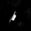 qqe's avatar