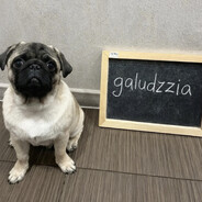 .galudzzia? - steam id 76561199799413155