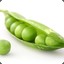 green_pea_that_could