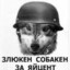 zlukin_sobaka