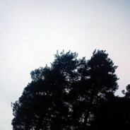 Доброго вечора, м