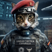 Gato