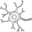 Neuronius