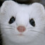Weasel of Eternal Despair