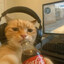 КотЭстет
