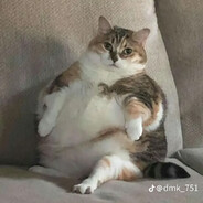 ♡Настюша♡