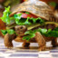 Burger Turtle