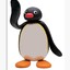 Pingu