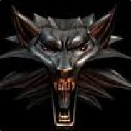 Witcher50 - steam id 76561197965835020