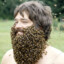 Azaz Bee Bard