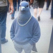 rofl1k Steam avatar