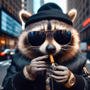 raccoon (with swag)