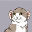 Avatar of Ricepaddy