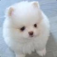 Maiev42