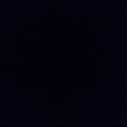 变成泰森一拳打屎你妈