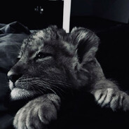 Avatar snapshot