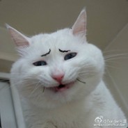 索泰杯.裁判ob.喵๑