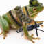 frog with da gun